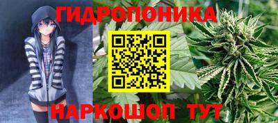 стафф Жуковский
